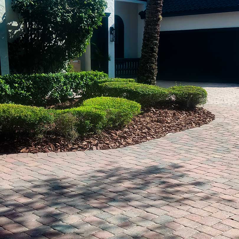 High End Landscaping Services in Poinciana, FL {{brizy_dc_image_alt imageSrc=