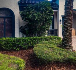 Professional Mulching and other landscaping installation services in the greater Orlando Area {{brizy_dc_image_alt imageSrc=