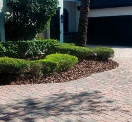 High End Landscaping Services in Poinciana, FL {{brizy_dc_image_alt imageSrc=