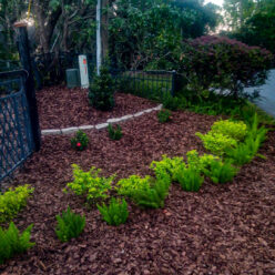 {{brizy_dc_image_alt imageSrc=