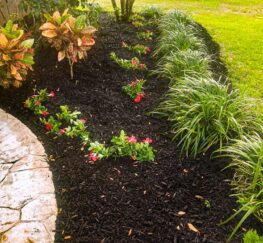 Professional Mulching and other landscaping installation services in the Davenport & Altamonte Springs {{brizy_dc_image_alt imageSrc=