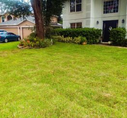 Premier Lawn Care and Sod Installation in Davenport and Oviedo FL {{brizy_dc_image_alt imageSrc=