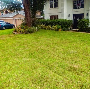 {{brizy_dc_image_alt imageSrc=