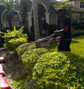 {{brizy_dc_image_alt imageSrc=