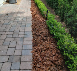 Professional Mulching, Sod Installation, and more in Orlando FL {{brizy_dc_image_alt imageSrc=