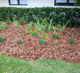 Premier Lawn Care and Sod Installation in Davenport and Oviedo FL {{brizy_dc_image_alt imageSrc=