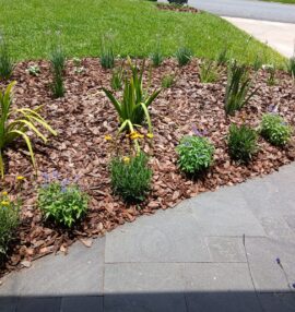 {{brizy_dc_image_alt imageSrc=