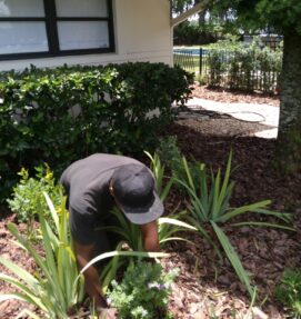 {{brizy_dc_image_alt imageSrc=